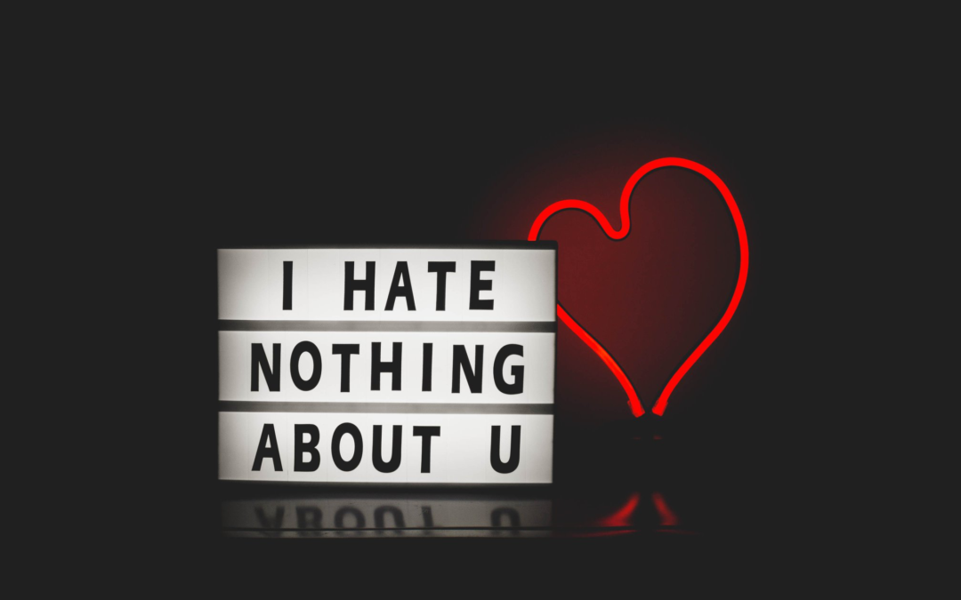 I HATE NOTHING ABOUT U