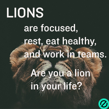 Become A Lion